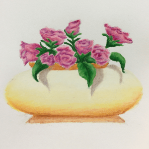 Pink Roses Still Life